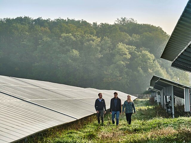 Three people are walking through the solar park.