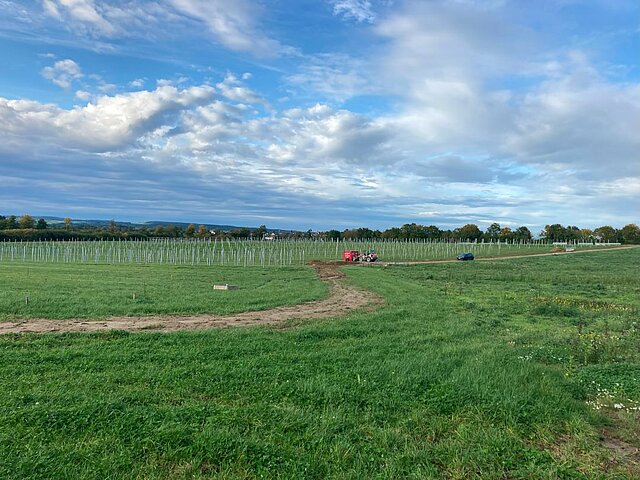 The construction site of the Ahldorf solar park.