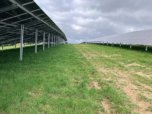 The path between the solar panels in a green field.